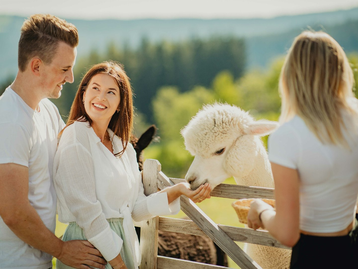 Erholungsurlaub in der Steiermark - Auszeit in der Natur inkl. regionales Frühstück | 7 Nächte