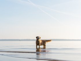 Meeresluft pur - 3 Tage Ostsee-Auszeit in Bades Huk