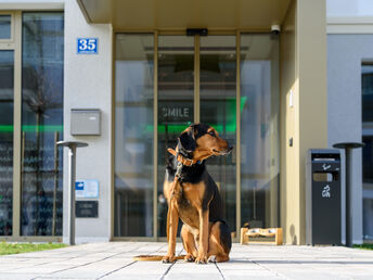Bergidylle in der Alpenstadt Bad Reichenhall 2 Tage