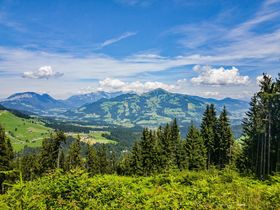 Appartements mehr als nur ein Ort der Entspannung in Söll am Wilden Kaiser | 3 Nächte