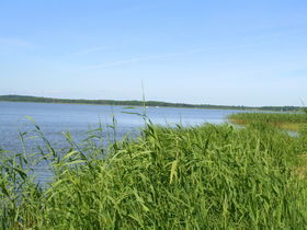 Kuscheltage auf der Romantik-Insel Usedom inkl. Abendessen und Wellness