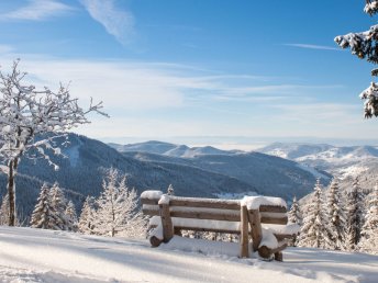 Secret Deal // Schwarzwald im Juni ab 345€ - Premium Alles Inklusive 