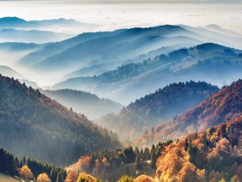 Secret Deal // Schwarzwald im Juni ab 345€ - Premium Alles Inklusive 