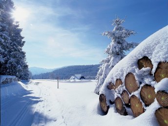 Secret Deal // Schwarzwald im Juni ab 345€ - Premium Alles Inklusive 