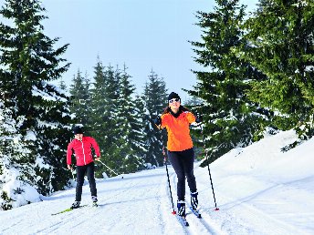 Secret Deal // Schwarzwald im Juni ab 345€ - Premium Alles Inklusive 