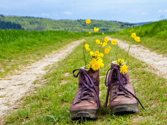 Secret Deal // Schwarzwald im Juni ab 345€ - Premium Alles Inklusive 