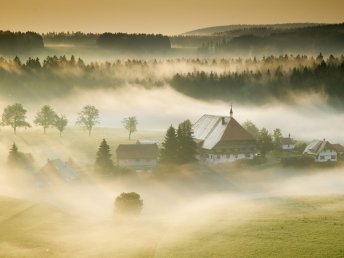 Schwarzwald HERBST  Alles Inklusive 