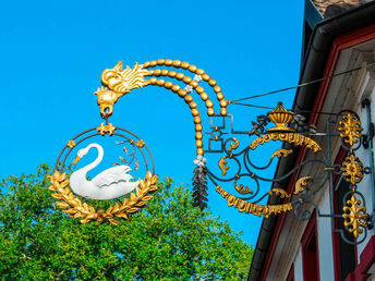 Baden und Elsass a la Rad - 5 Tage