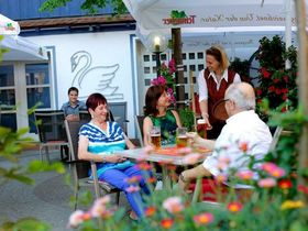 Baden und Elsass a la Rad - 5 Tage