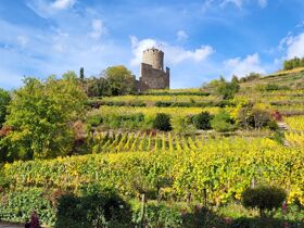 Rendevous der Sinne - 4 Tage