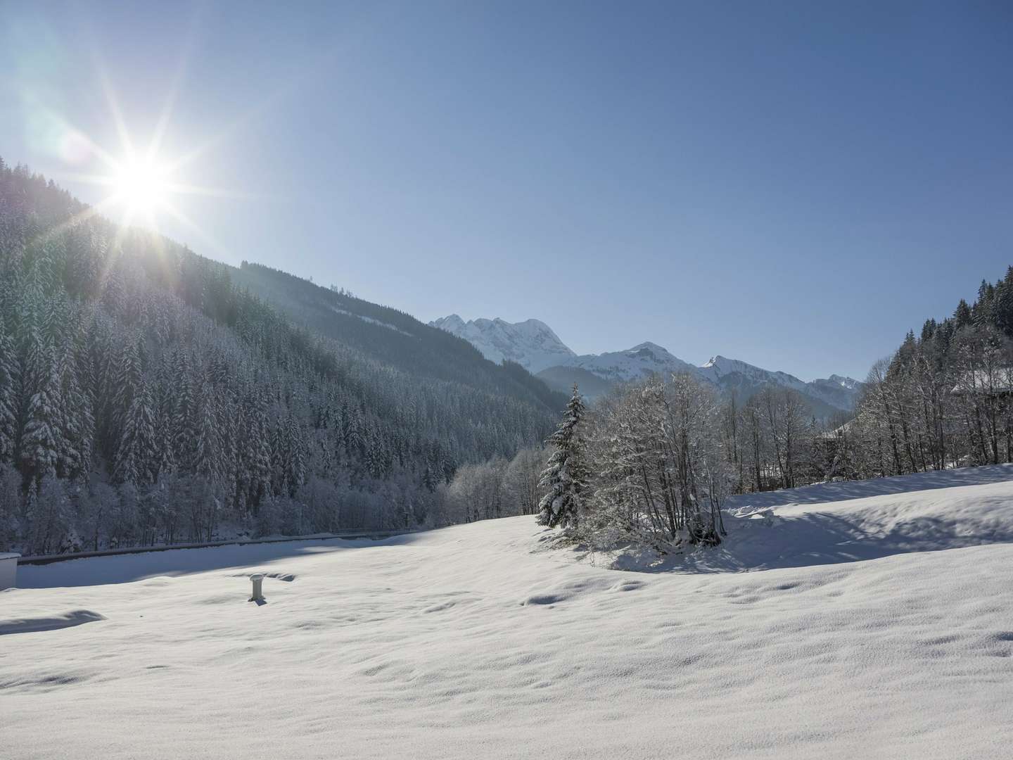 5=4 Special Jodelwandern im Zillertal inkl. Bergfahrt