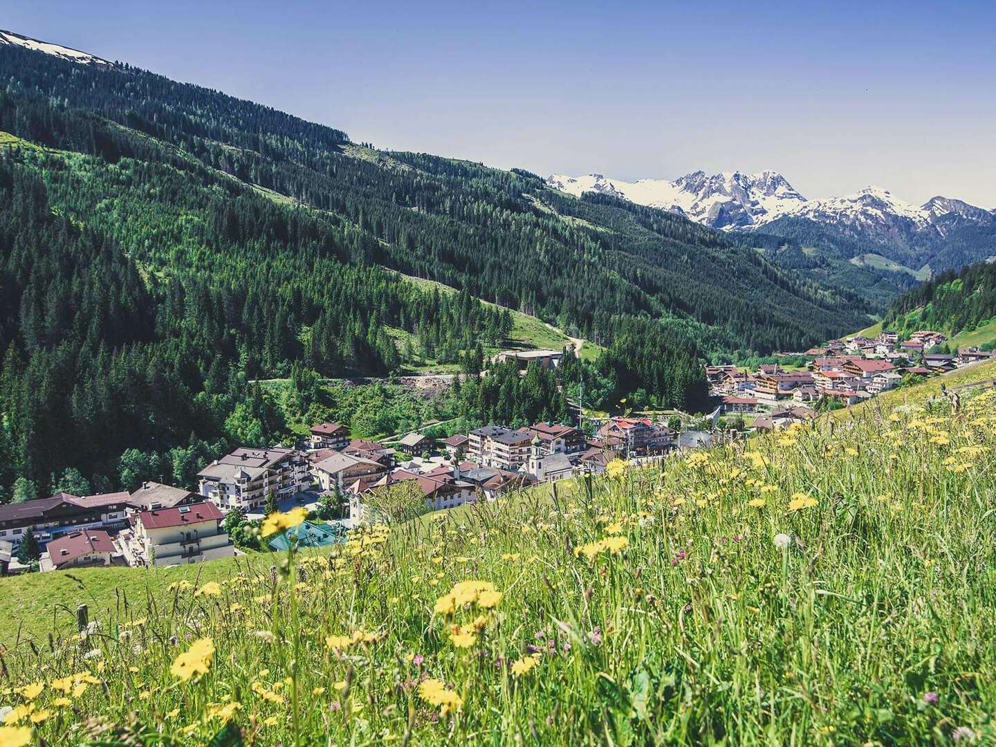 Almwandern im Zillertal mit Jause für unterwegs inkl. Bergfahrt | 3 Nächte 