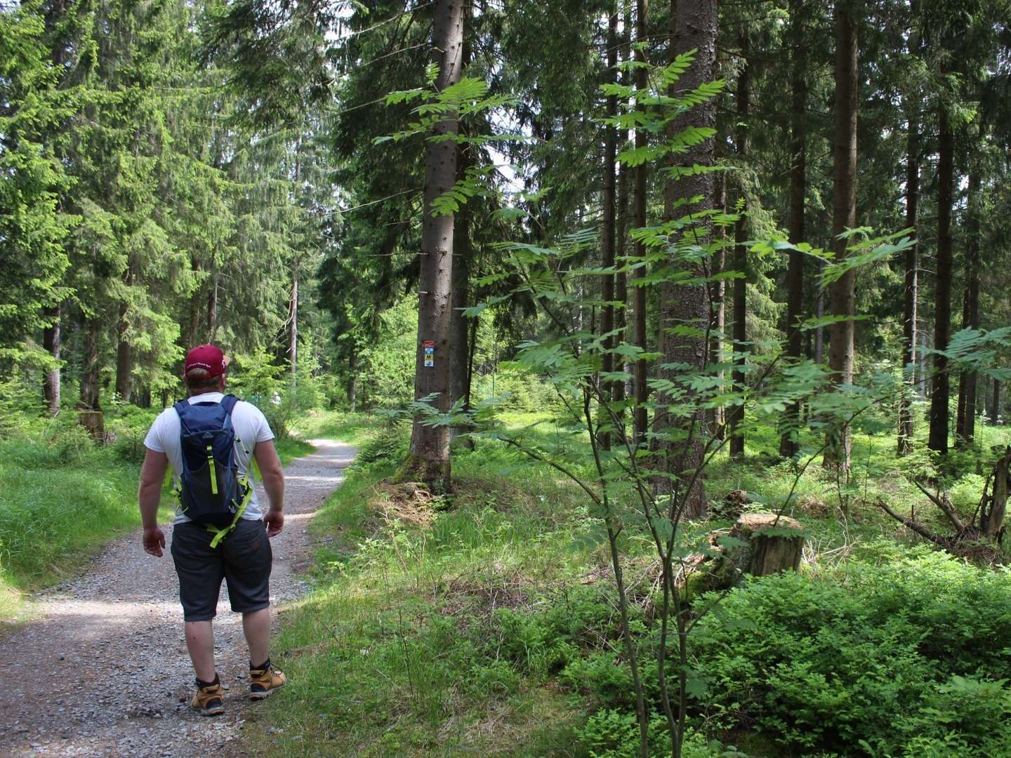3 Tage Erlebnisurlaub in Oberwiesenthal mit Premium All Inklusive