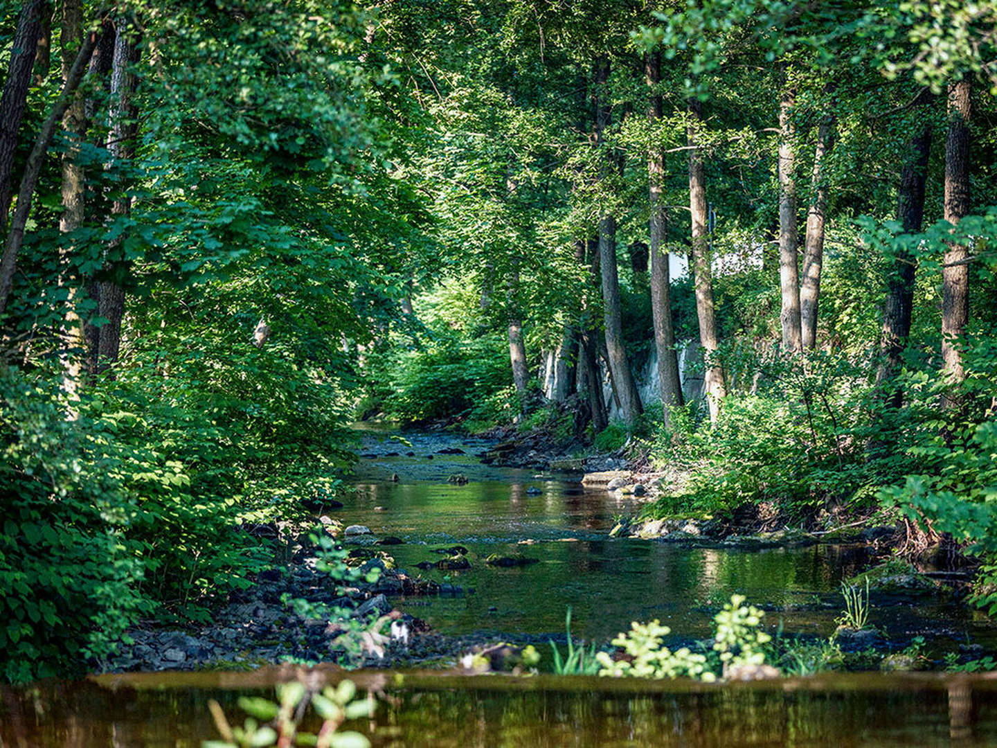 Sommer-Sparpreis- Harz Special: Verwöhn- Wellness Auszeit in Bad Lauterberg