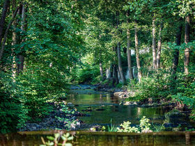 Verwöhn-Wellness-Auszeit in Bad Lauterberg im Harz | 5 Tage