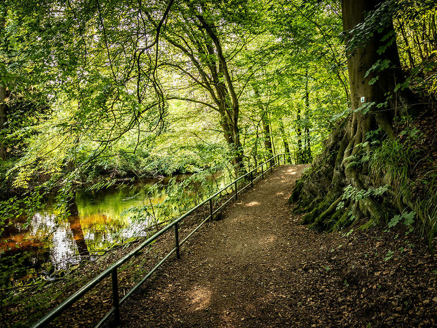 Sommer-Sparpreis- Harz Special: Verwöhn- Wellness Auszeit in Bad Lauterberg
