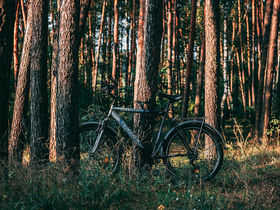 Verwöhn-Wellness-Auszeit in Bad Lauterberg im Harz | 5 Tage