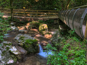 Valpolicella - Entdecken Sie die Provinz von Verona | 6 Nächte