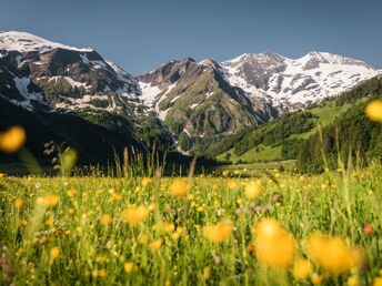 Bild 9 von 36