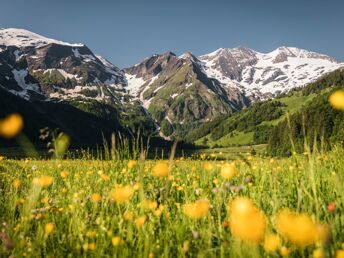 Sommerurlaub in den Bergen zwischen Zell am See & Kitzbühel | 2 Nächte