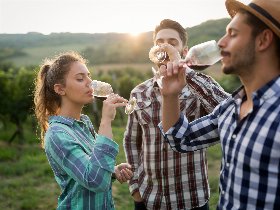 Genussurlaub in Top modernen Lodges inkl. Verkostungen und Führungen | 3 Nächte