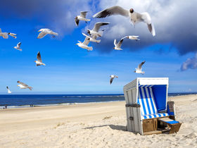 Kuschelwoche auf Sylt inkl. Sylter Aquarium & Dinner