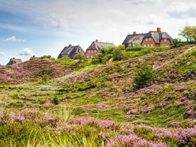 Kuschelwoche auf Sylt inkl. Sylter Aquarium & Dinner