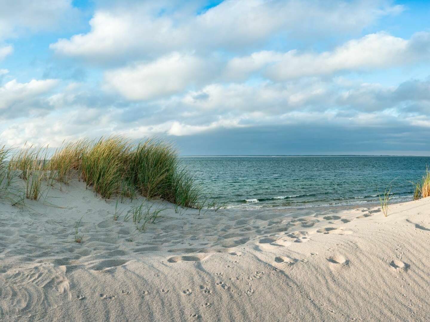Verträumte Momente auf Sylt inkl. Sylter Aquarium & Dinner