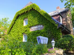 Kuschelwoche auf Sylt inkl. Sylter Aquarium & Dinner