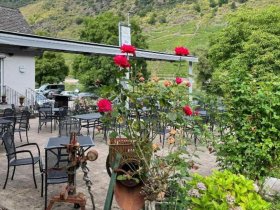 Wanderlust an der Mosel inkl. Lunchpaket