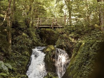 Wanderlust an der Mosel inkl. Lunchpaket