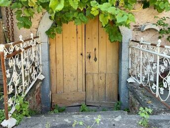 Wanderlust an der Mosel inkl. Lunchpaket