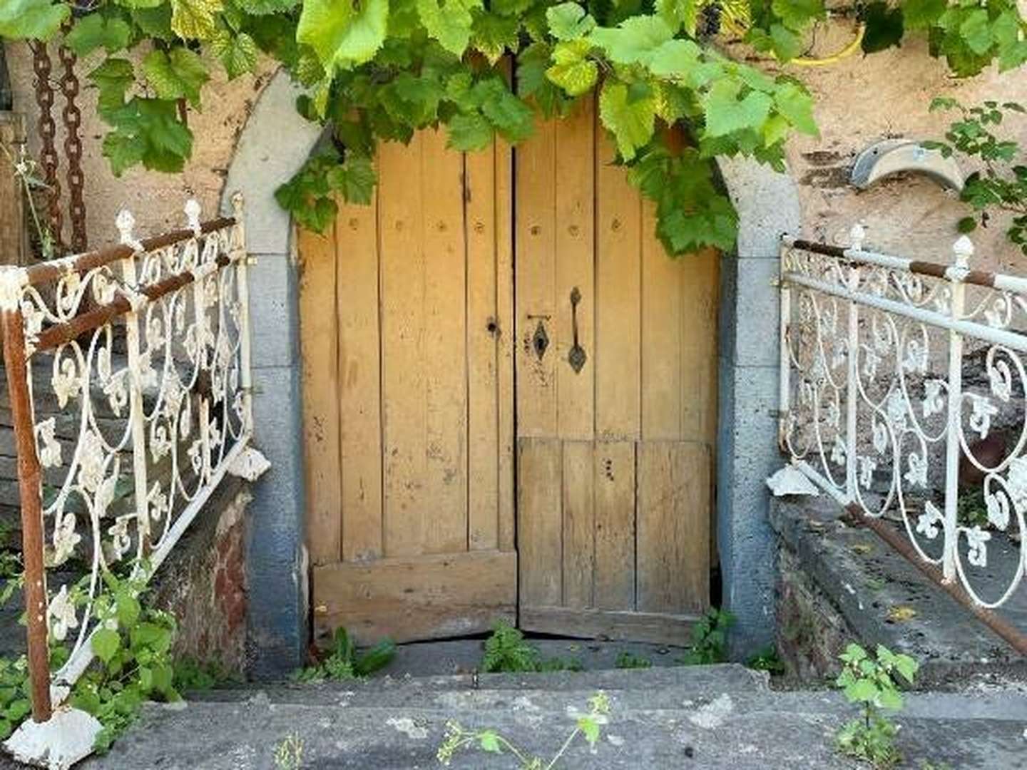 Wanderlust an der Mosel inkl. Lunchpaket