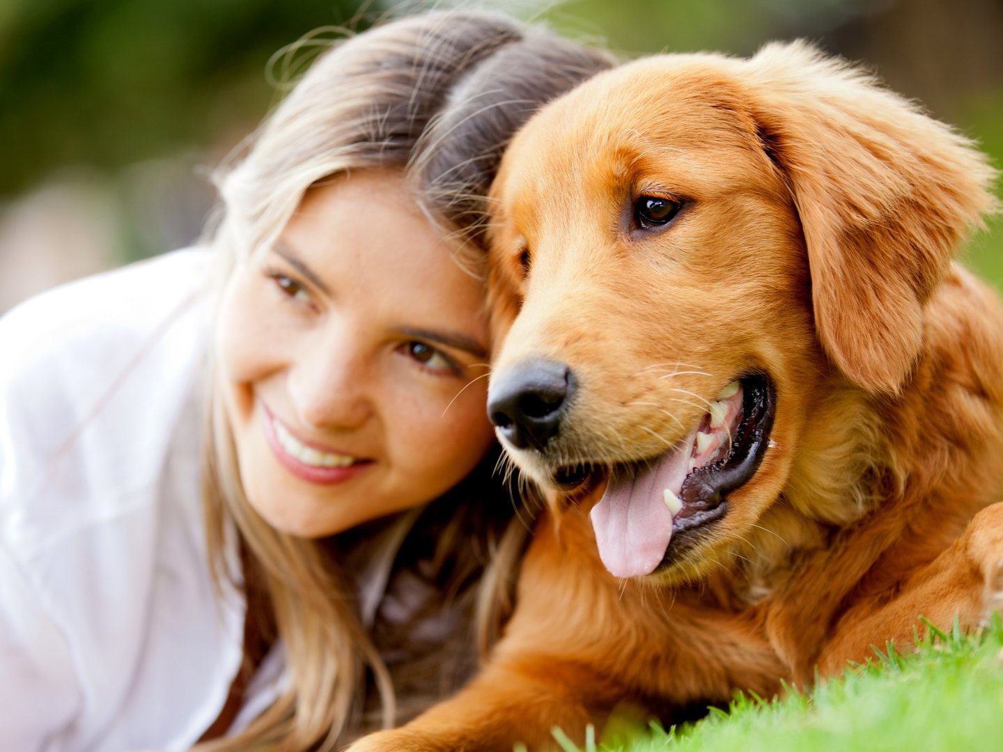 4 Pfoten Spezial - Auszeit mit Hund an der Mosel