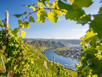 Moselurlaub mit Wein und Mosel Gästeticket
