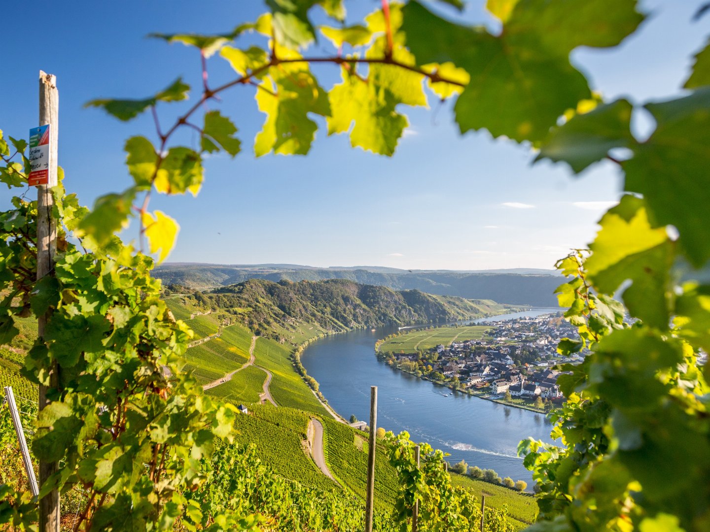 Moselurlaub mit Wein und Mosel Gästeticket