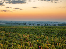 Silvester in Ruhe genießen / 2 Nächte ink. Frühstück