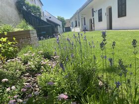 Silvester in Ruhe genießen / 2 Nächte ink. Frühstück