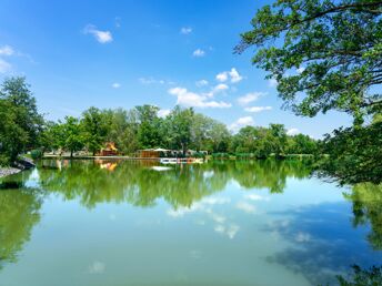 Relax-Aufenthalt in Sárvár mit Botanischem Garten & Halbpension | 3 Nächte