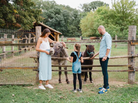 Relaxurlaub in Sárvár mit Botanischem Garten & Halbpension | 4 Nächte
