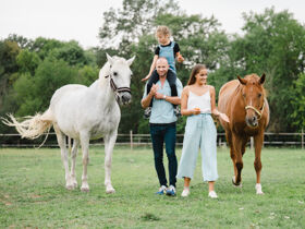 Relaxurlaub in Sárvár mit Botanischem Garten & Halbpension | 4 Nächte