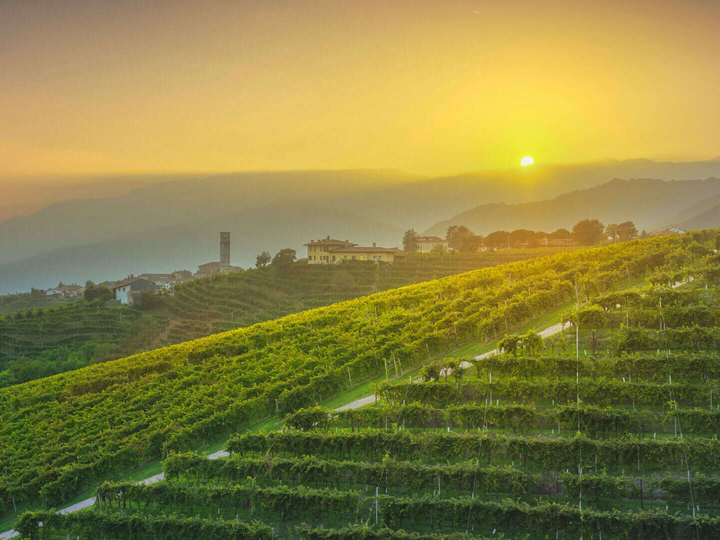 Genussurlaub in Venetien - Pieve di Soligo entdecken | 1x Abendessen | 4 Nächte