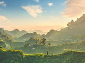 Genussurlaub in Venetien - Pieve di Soligo entdecken | 2x Abendessen | 4 Nächte