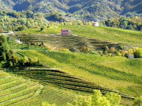 Genussurlaub in Venetien - Pieve di Soligo entdecken | 2x Abendessen | 4 Nächte