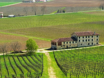 Genussurlaub in Venetien - Pieve di Soligo entdecken | 1x Abendessen | 4 Nächte