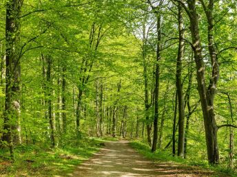 Kurzurlaub in Eutin, umgeben von zahlreichen Seen  4 Tage