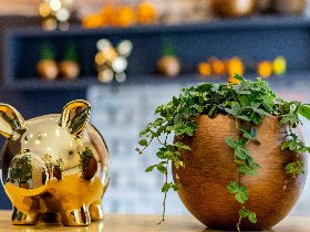 Stopover am Alpsee im schönen Allgäu