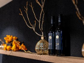 Stopover am Alpsee im schönen Allgäu