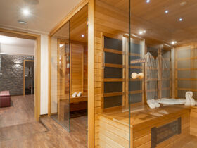 Wellness-Special: Urlaub in Sárvár mit Eintritt zur Therme | 4 Nächte