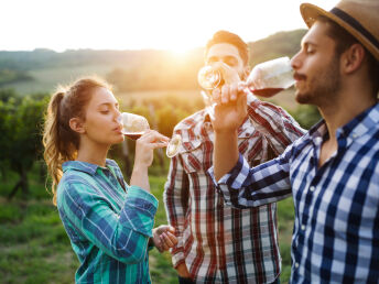 Pfingstwochenende mit Pferdekutsche / 4 Tage auf dem Weingut